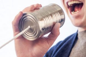 voice