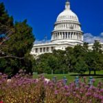 Trust in the government in Washington is at record lows, a new survey finds.