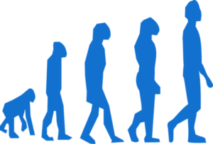 Evolution