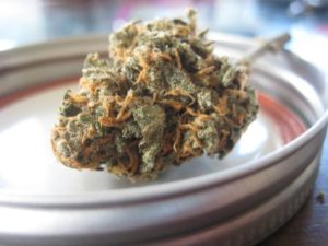 Marijuana nugget