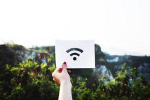 WiFi symbol in nature