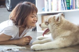 Girl playing with dog