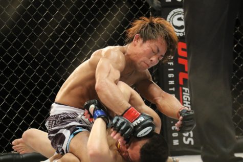 mma-2495822_1920