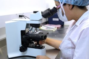Researcher looking through microscope