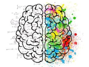 Left Brain / Right Brain