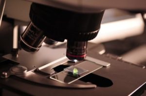 Microscope and slide
