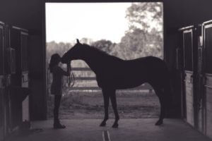 Horse receiving kiss from owner