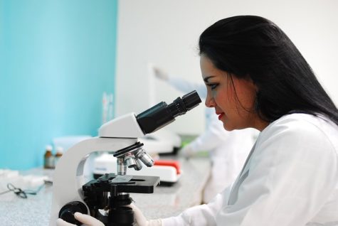 Scientist looking through microscope