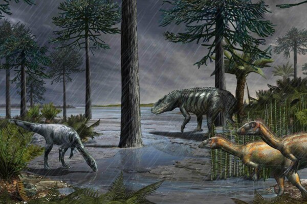 Dinosaurs