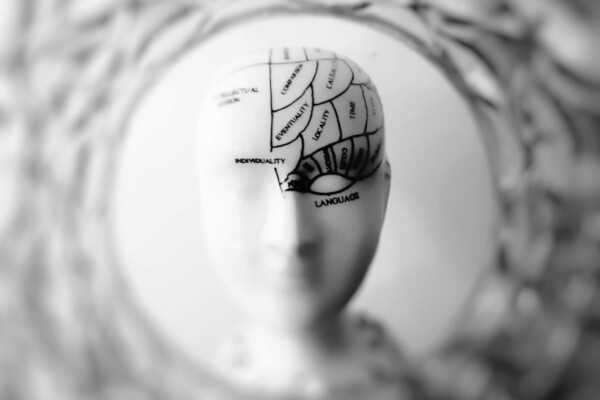 Brain map