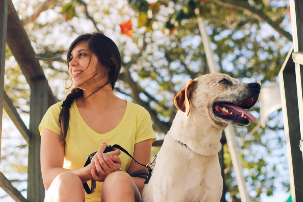 adult-blurred-dog-1109424