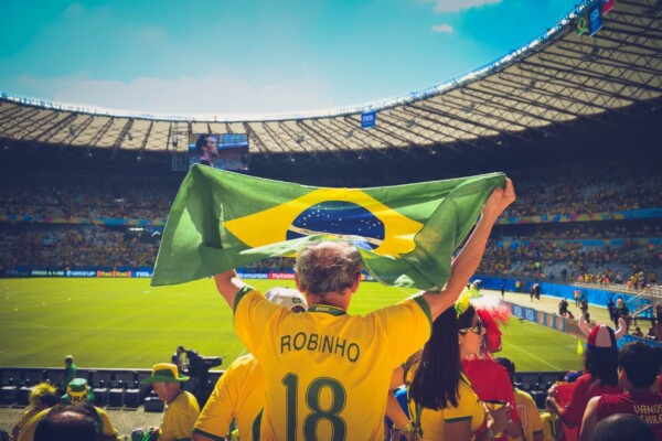Soccer fan holding flag