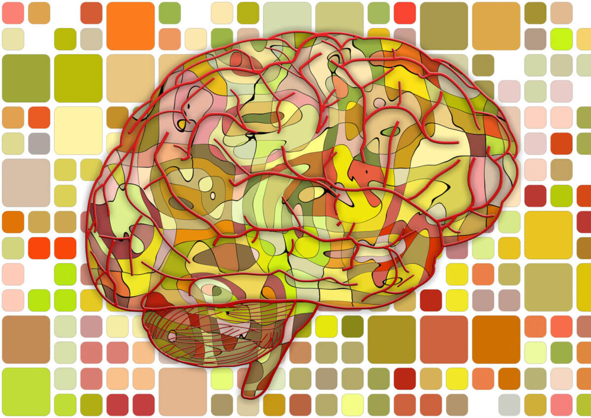 brain-951871