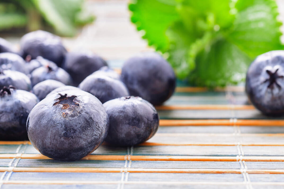 blueberries-close-up-food-112775