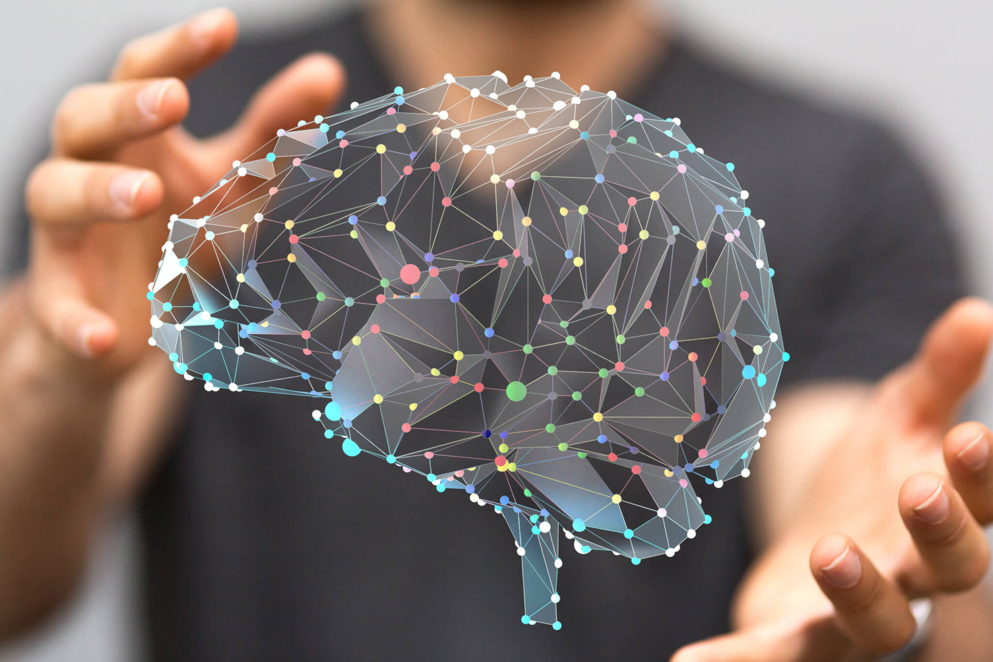 Brain