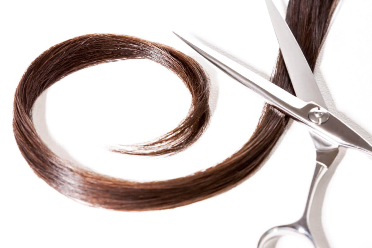 Comb, Scissors and Lock of Hair