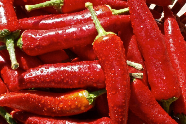 Chili peppers