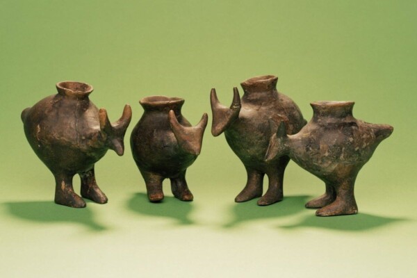Prehistoric baby bottles