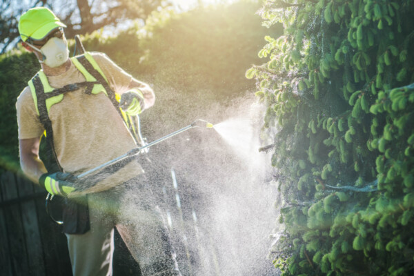 Landscaper or lawn care worker spraying pesticide
