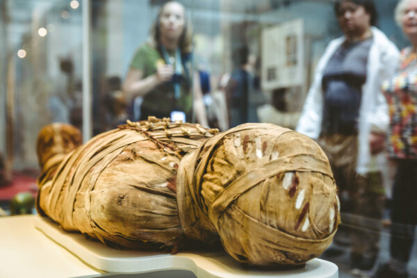 Ancient Egyptian mummy