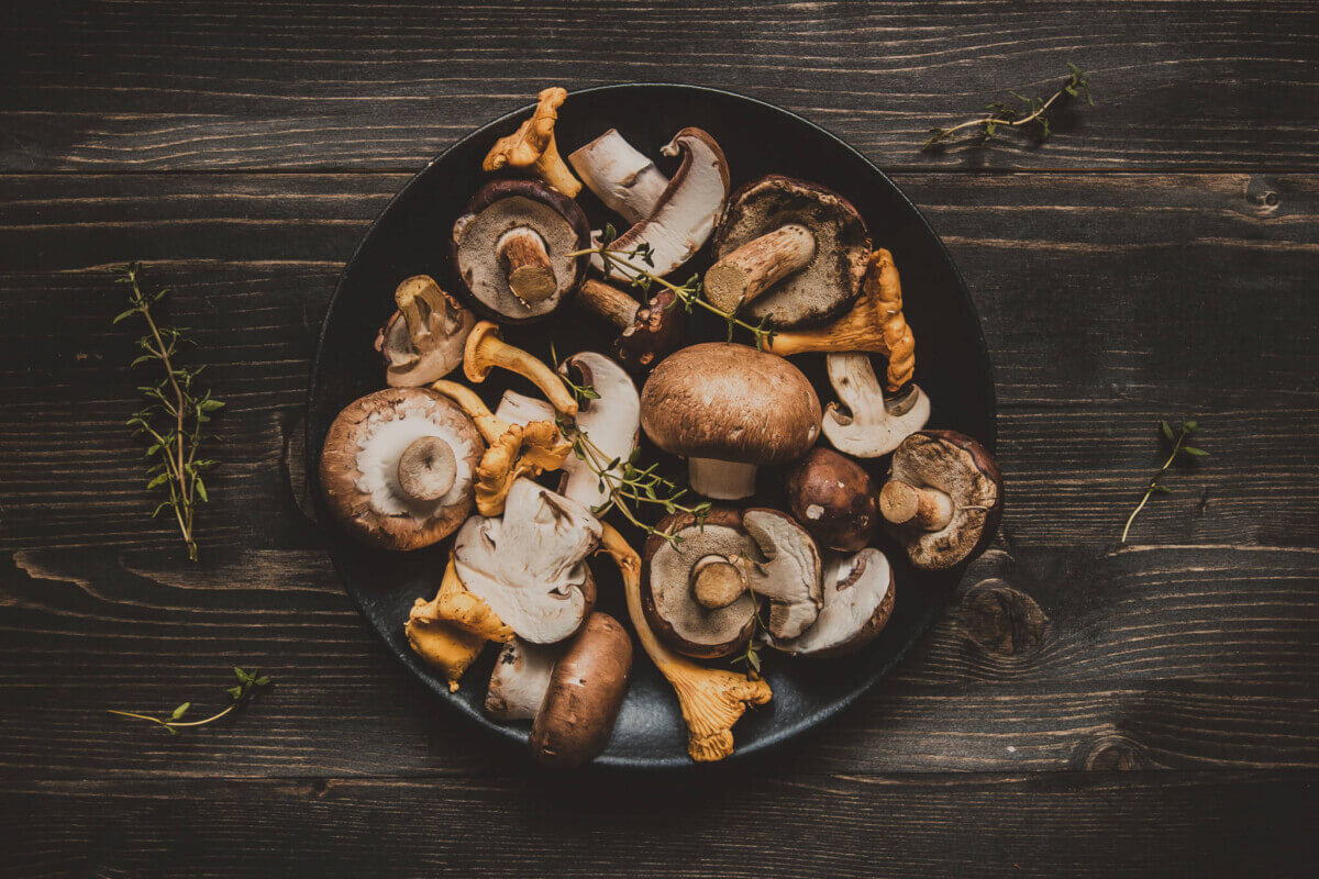 Fresh mixed forest mushrooms on the wooden black table