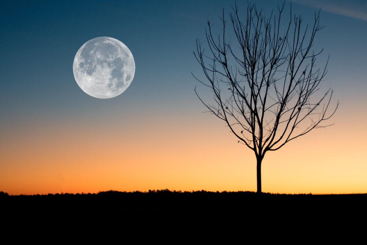 backlit-beautiful-dawn-884788