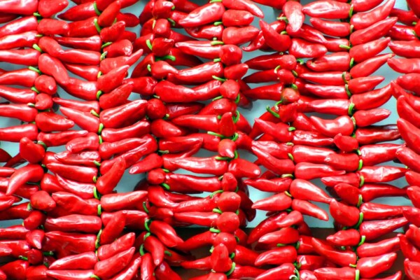 Red chili peppers