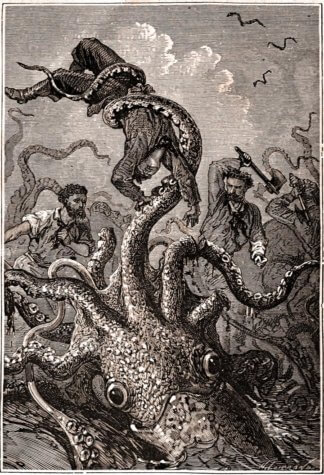 Giant squid