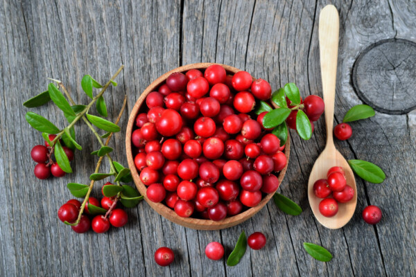 Lingonberries in a bowl