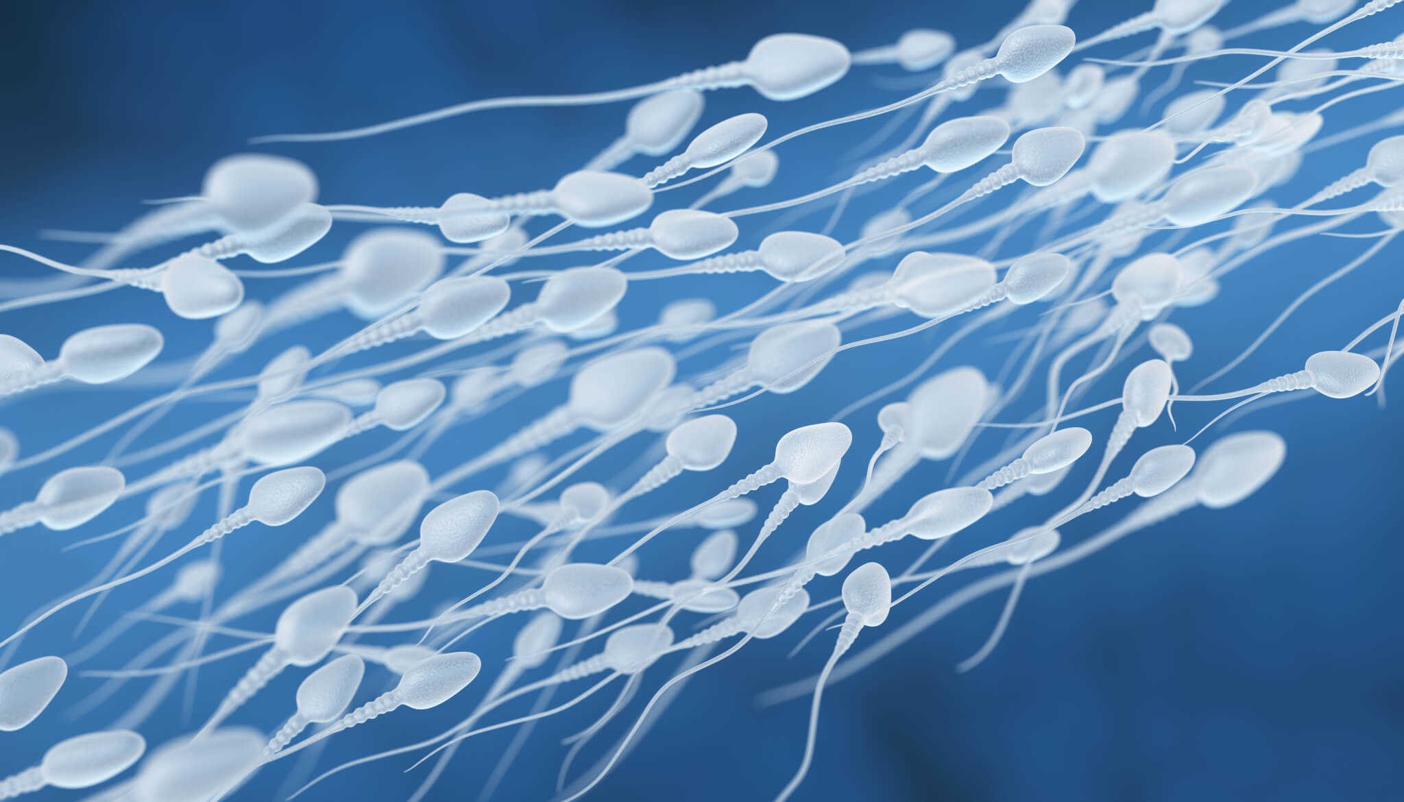 Lesser Than Picture Sperm supply shortage? Less than 4% of men are accepted as sperm donors