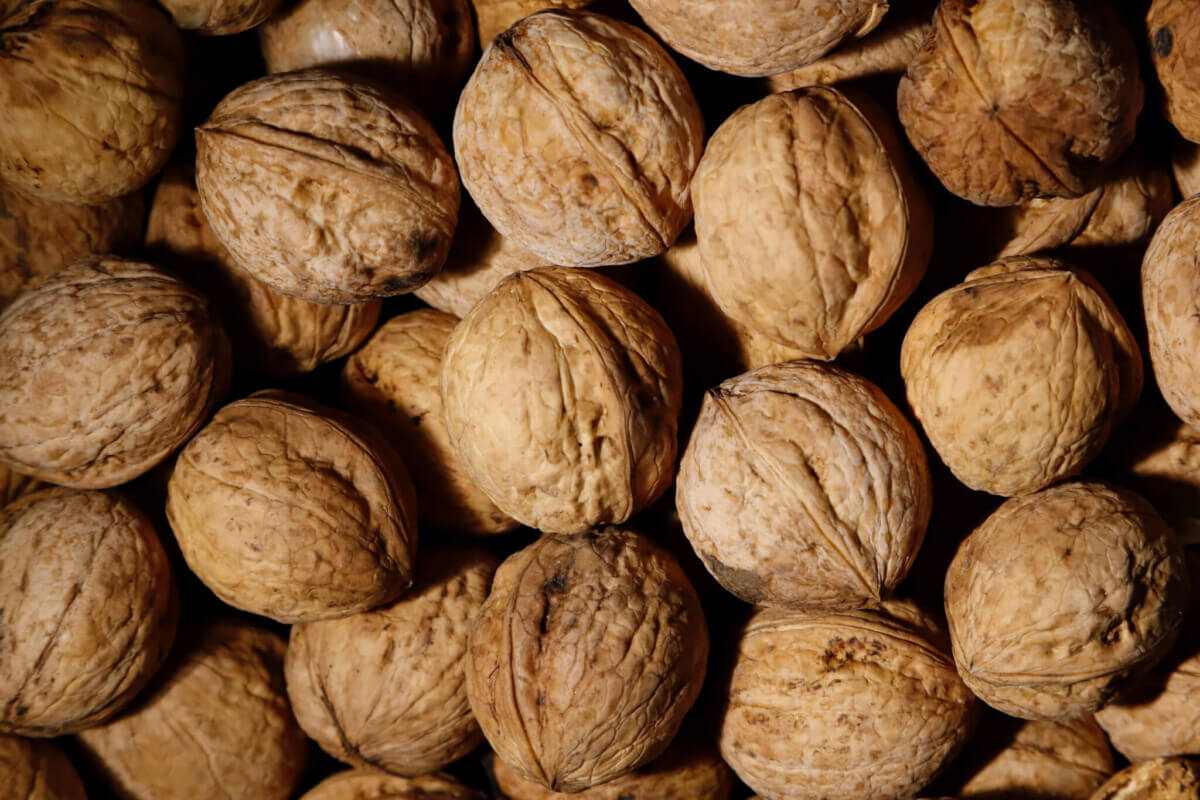 brown-walnuts-3640631