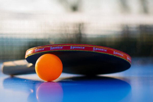 Ping-pong paddle and ball