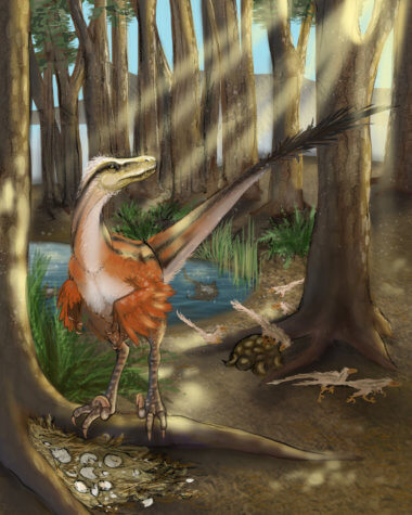 New feathered raptor