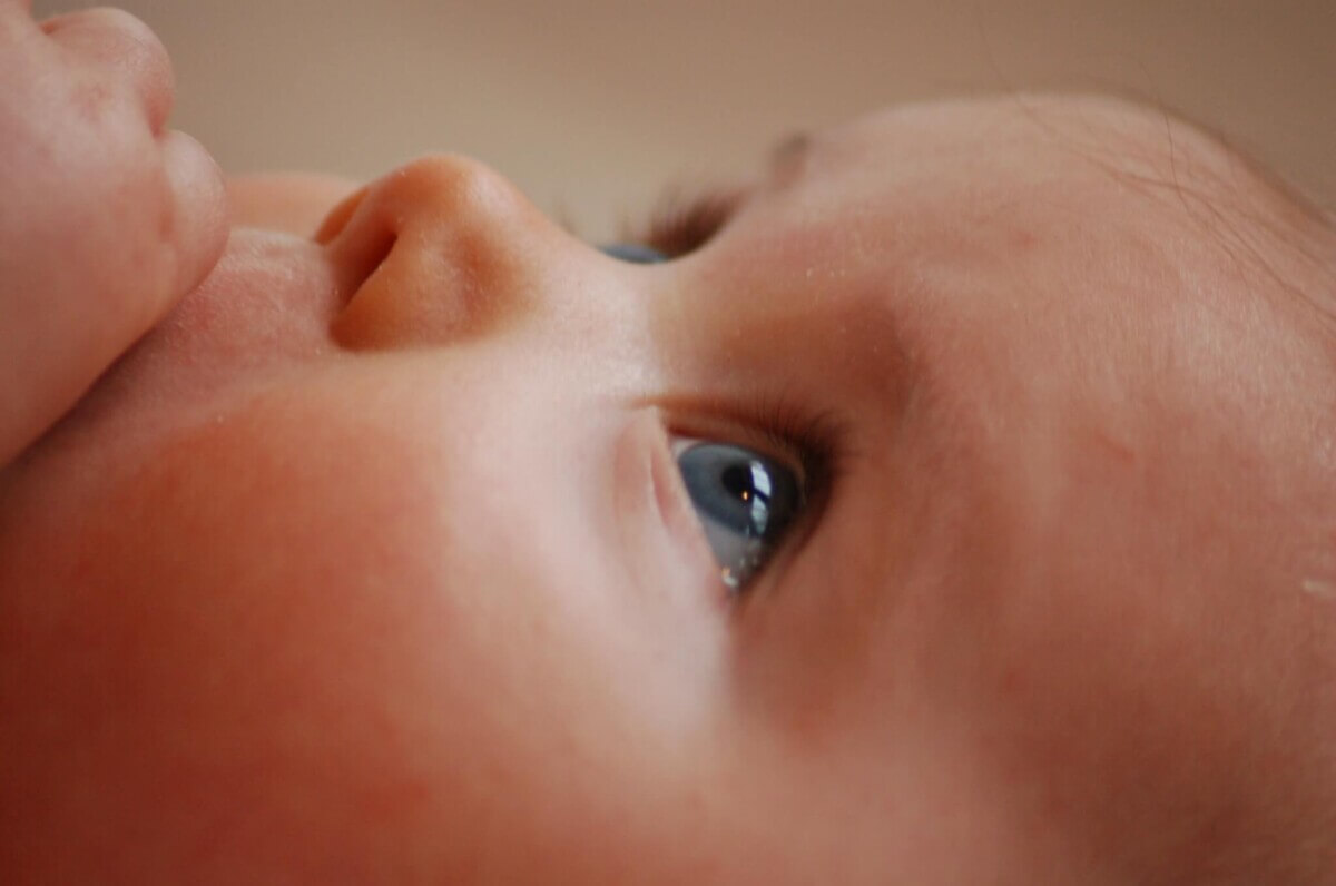 face-baby-35446