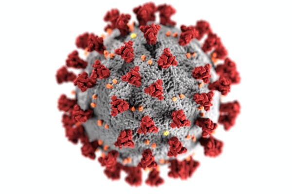 Coronavirus / COVID-19