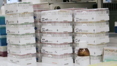 COVID-19 / coronavirus immunity study