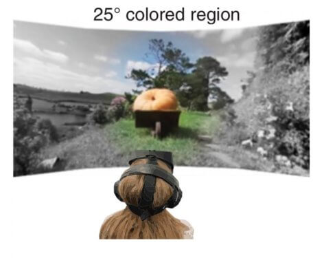 Virtual Reality Vision Study