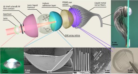 World's First 3D Artificial Eye