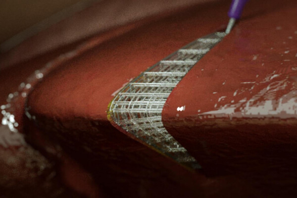 Image of a 3D lattice structure of a tissue implanted directly onto a soft living tissue.