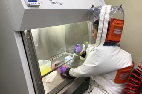 Nanosponges used as decoys against COVID-19
