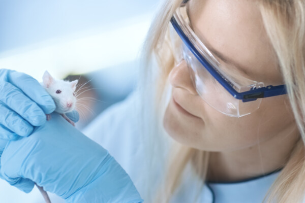 Scientist holding a lab mouse
