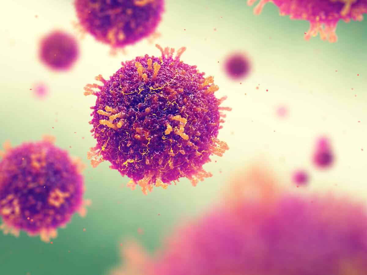 Measles also known as morbilli and rubeola is a highly contagious viral infection, Measles Morbilliviruses
