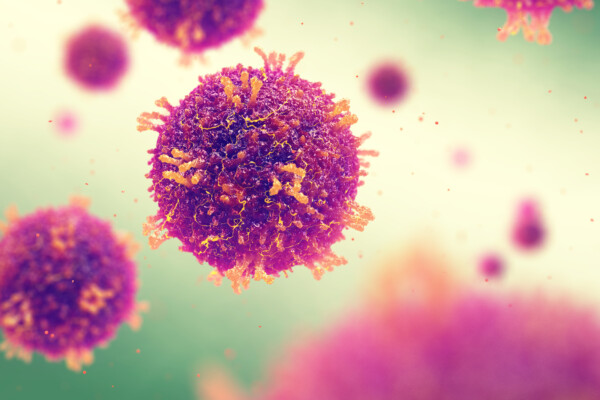 Measles virus