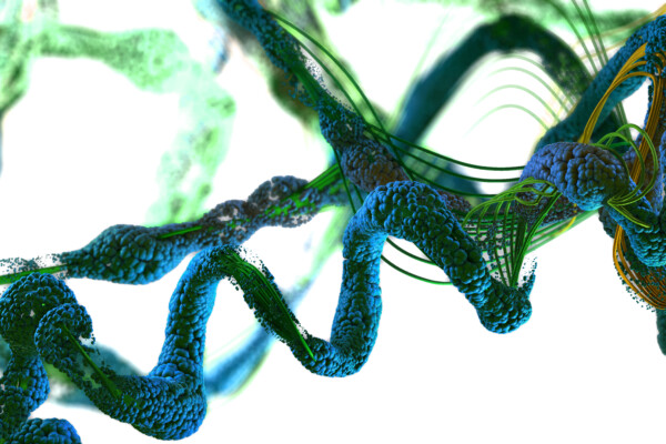 Chain of amino acids