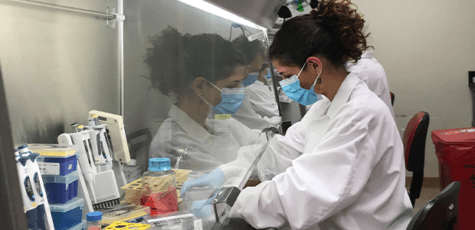 Alba Grifoni tests T cell response in blood samples from recovered COVID-19 patients