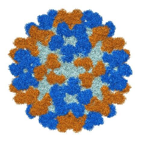 Antibodies for rare, polio-like illness