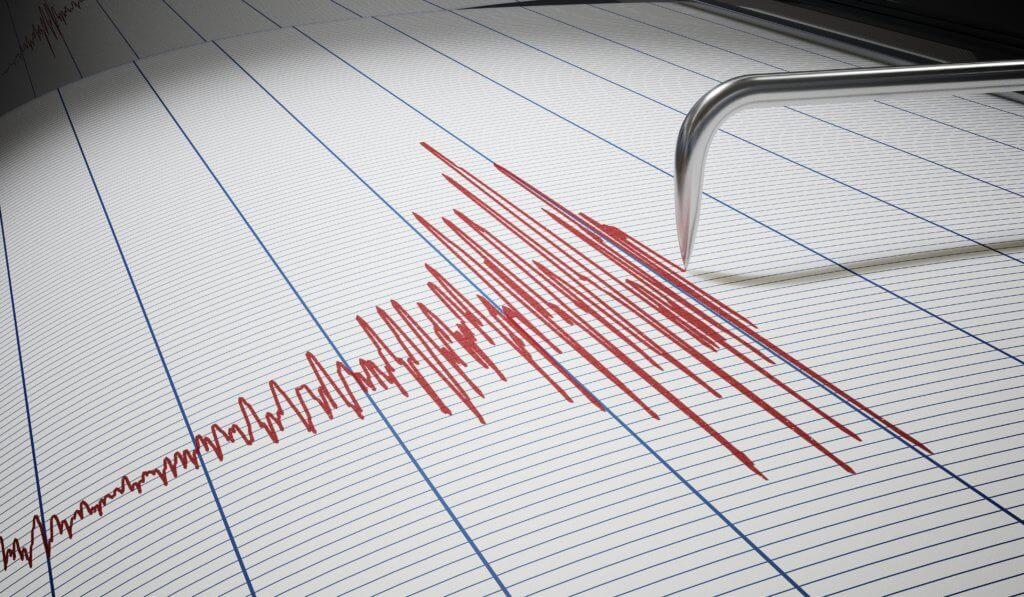Earthquake seismograph