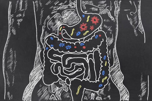 Gut health: Intestines sketch with gut bacteria