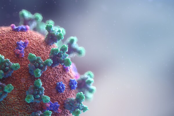 Coronavirus / COVID-19 / SARS-CoV-2