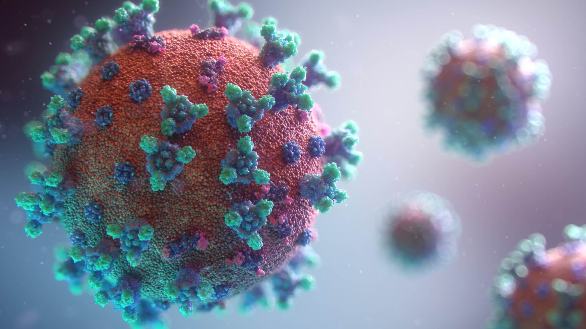 Coronavirus / COVID-19